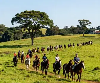 Descubra as Melhores Cavalgadas na Zona Sul de Porto Alegre