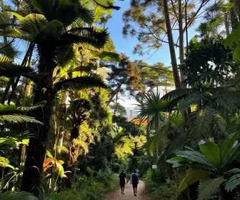 Descubra as Trilhas do Morro do Osso em Porto Alegre: Um Guia Completo