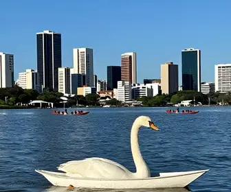 Descubra o Encanto do Passeio de Barco Cisne Branco em Porto Alegre
