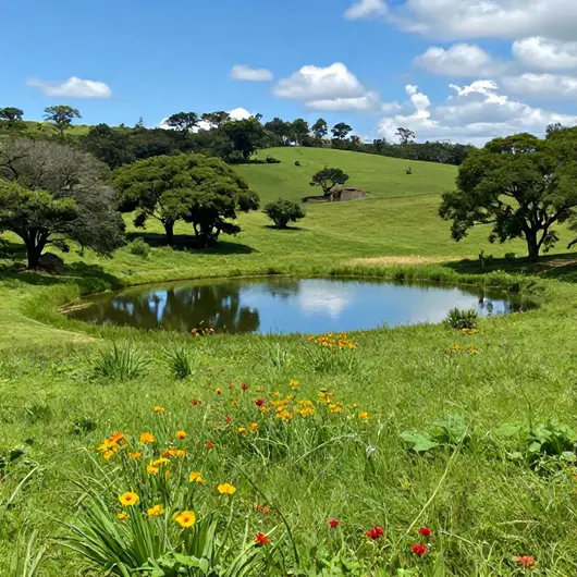 Descubra o Sítio Canto Rural