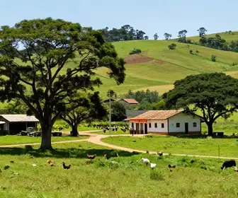 Descubra o Turismo Rural em Belém Novo, Porto Alegre