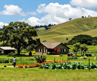 Descubra o Turismo Rural em Vila Nova, Porto Alegre
