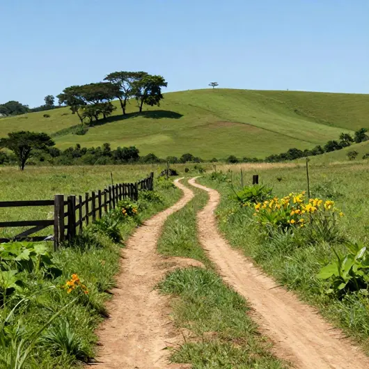 Descubra os Encantos dos Caminhos Rurais