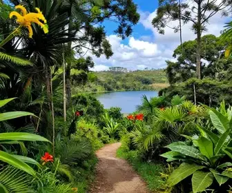 Explore a Reserva Biológica do Lami José Lutzenberger em Porto Alegre