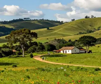 Explore o Turismo Rural no Lami e Suas Belezas Naturais Explore o Turismo Rural no Lami e Suas Belezas Naturais