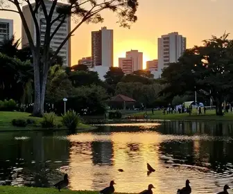 Guia Completo de Observação de Aves em Porto Alegre Guia Completo de Observação de Aves em Porto Alegre