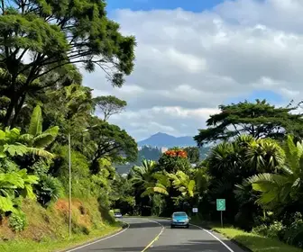 Guia Prático: Como Chegar a Porto Alegre saindo de Gramado Guia Prático: Como Chegar a Porto Alegre saindo de Gramado
