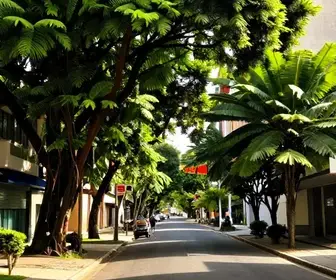 Rua Gonçalo de Carvalho: Um Oásis Verde em Porto Alegre